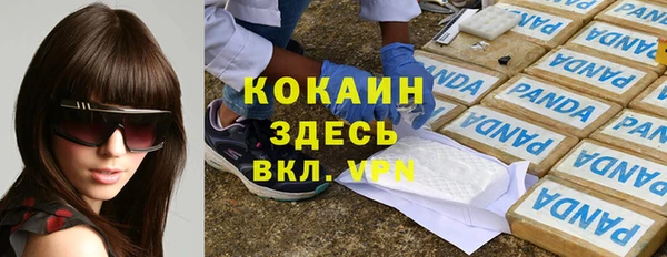 первитин Заводоуковск