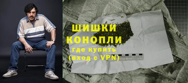 первитин Заводоуковск