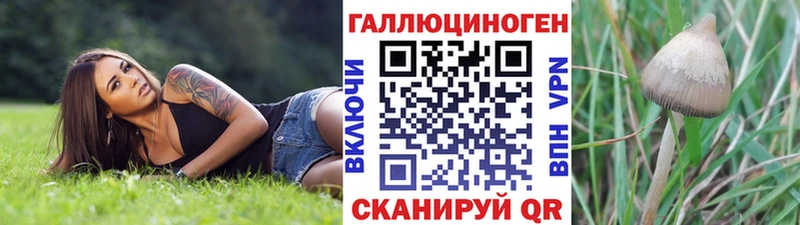 Галлюциногенные грибы Psilocybe  Купить где  Чебаркуль 
