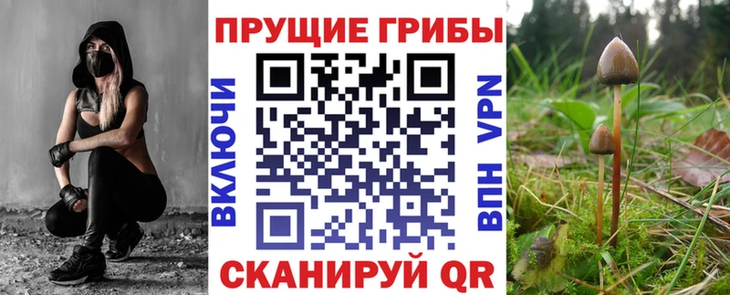 Псилоцибиновые грибы мухоморы Чебаркуль